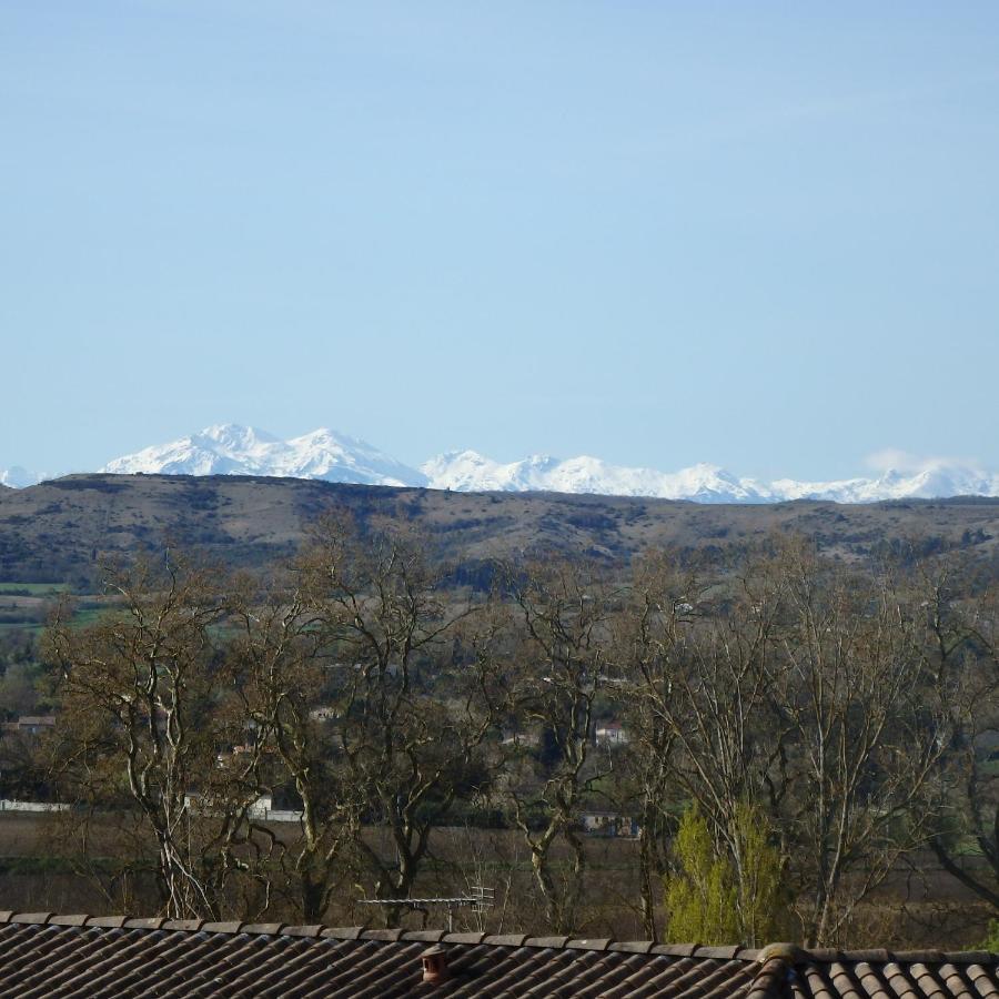 L'Oustal Des Fontanilles Bed and Breakfast Castelnaudary Exteriör bild